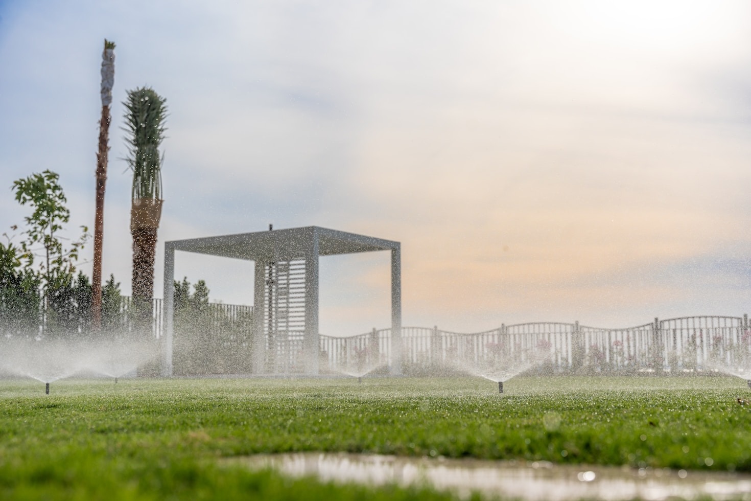Maximizing Water Efficiency During Summer Heat