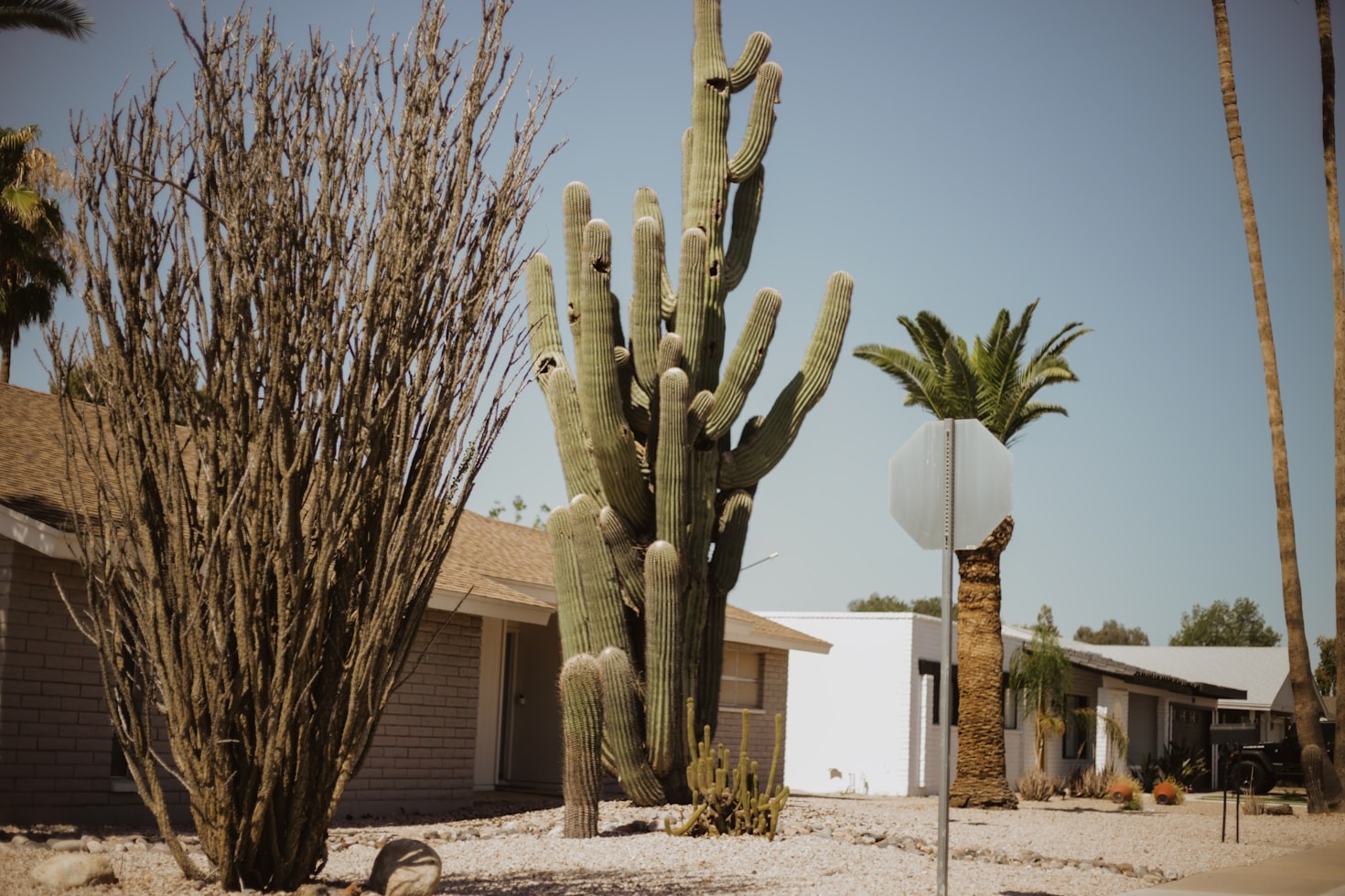 Top Irrigation Upgrades for Texas Lawns