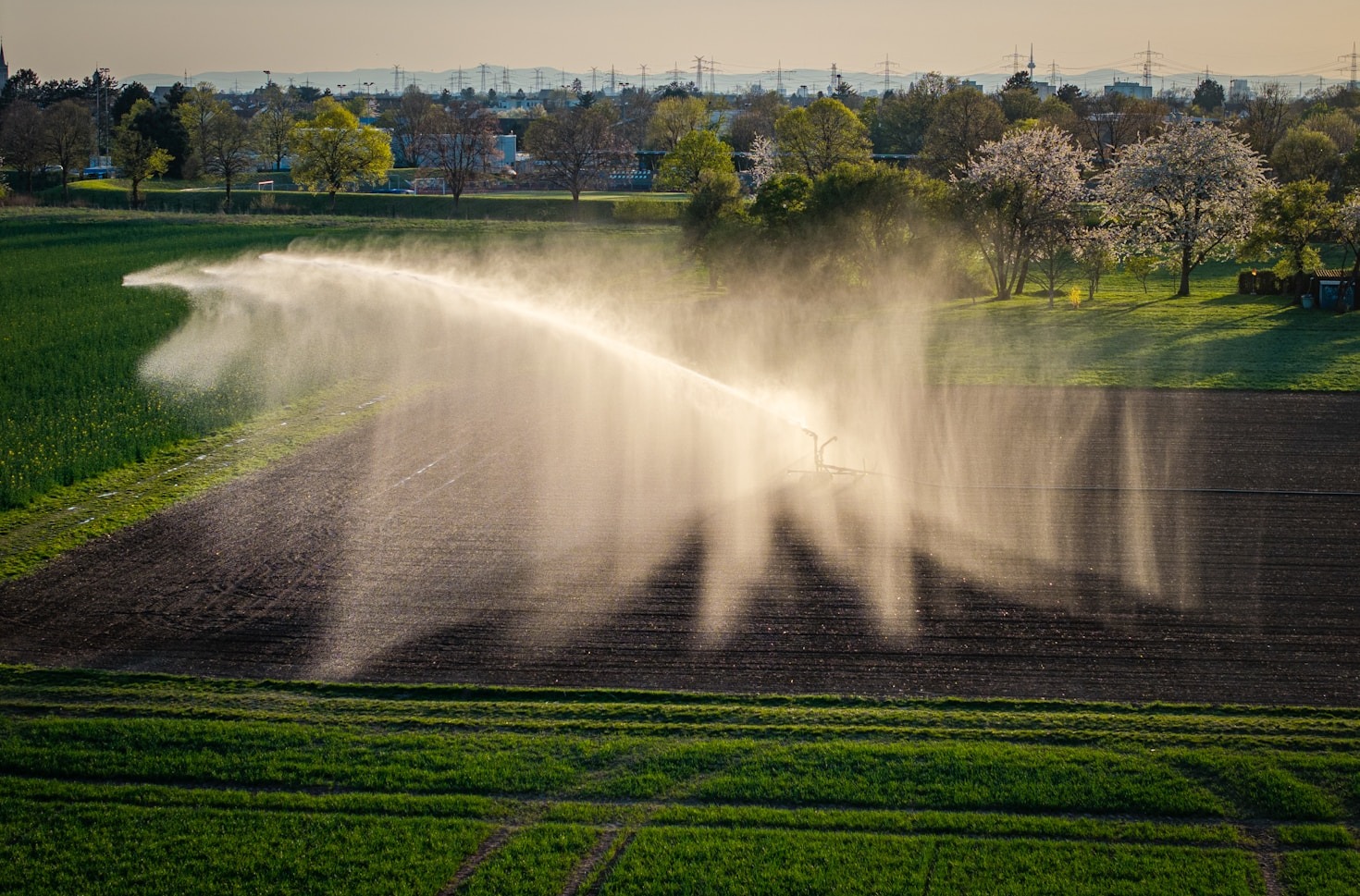 Landscape Design Tips for Arid Environments