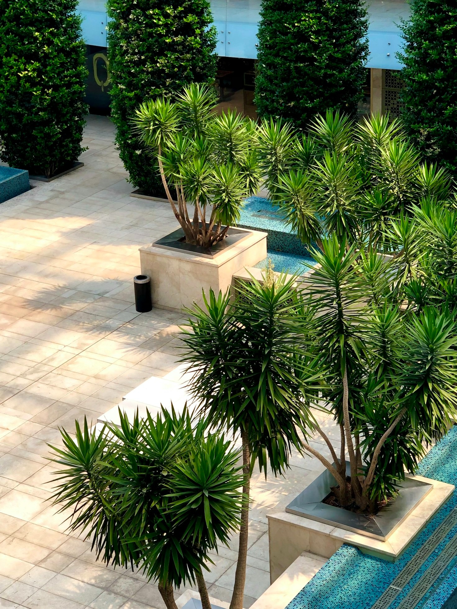 Native Plants That Thrive With Less Water