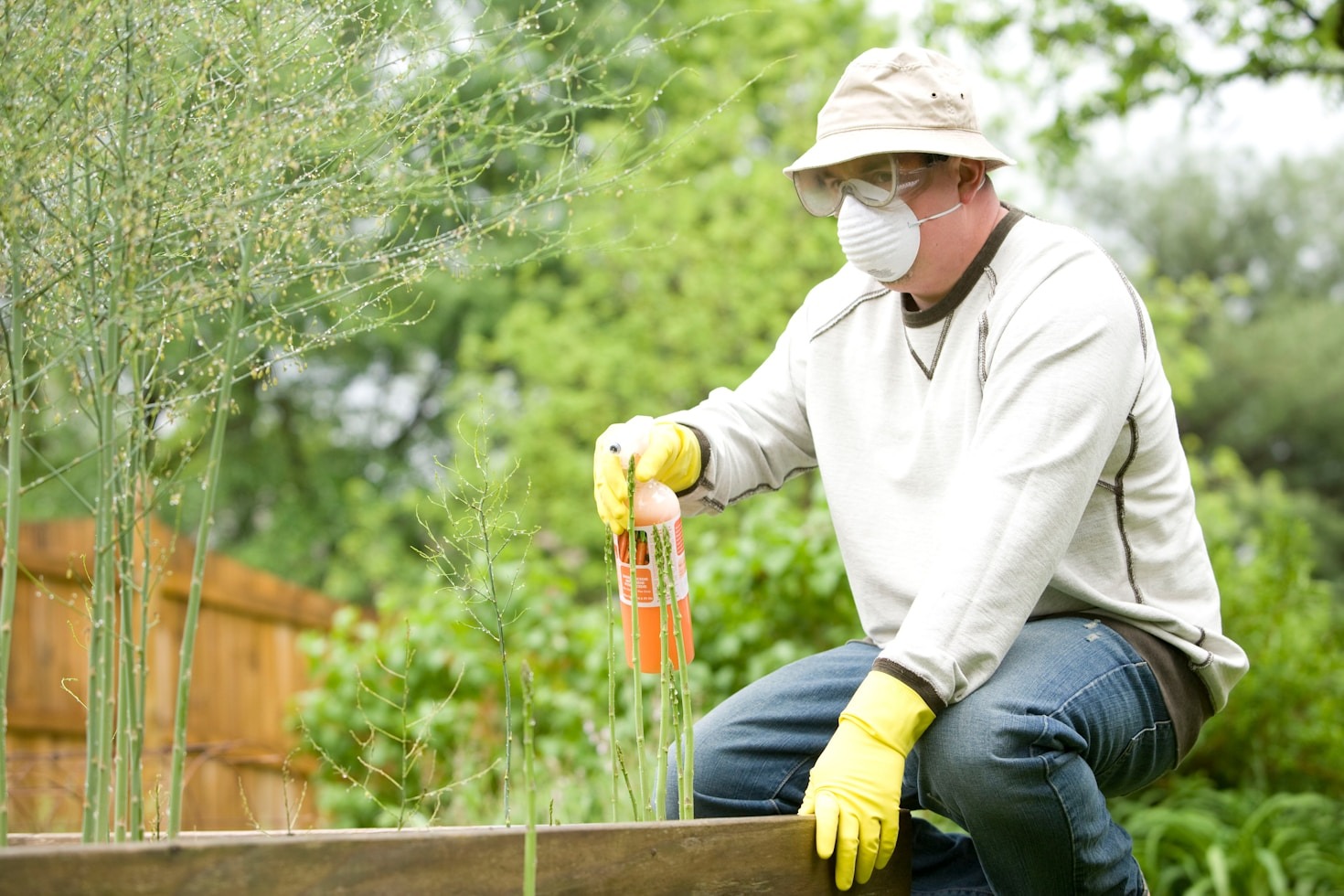 Seasonal Maintenance for Healthy Green Spaces